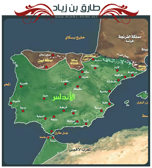 صورة مرفقة