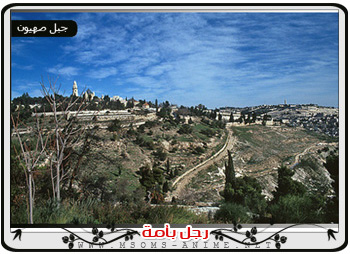 صورة مرفقة