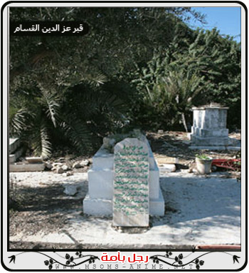 صورة مرفقة